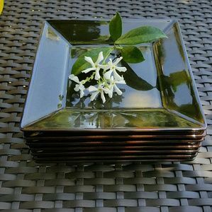 Set of Pottery Barn plates